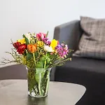 Apartman 